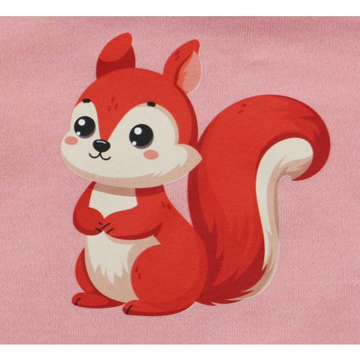 Baba body, hosszú ujjú,Mókus mintával