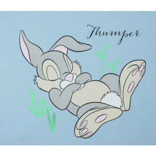 Ujjatlan baba hálózsák Thumper nyuszi mintával 1 TOG