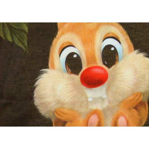 Rövid ujjú baba napozó Chip és Dale mintával