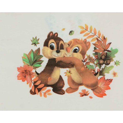 Rövid ujjú kisfiú póló Chip és Dale mintával