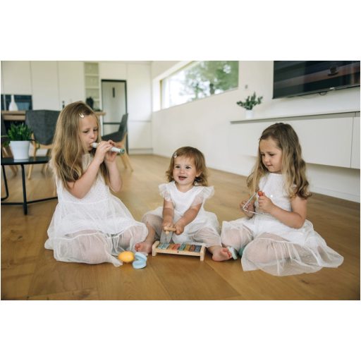 FreeON free2play 5in1 -My first music set
