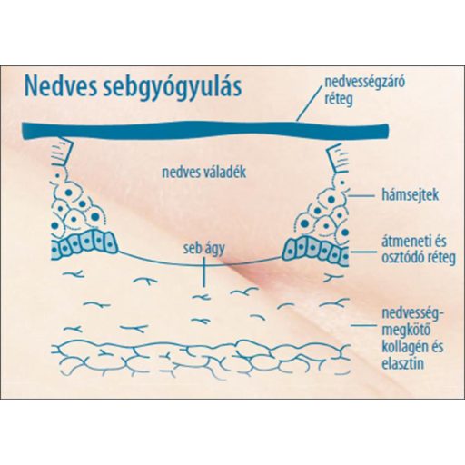 Lansinoh HPA Lanolin bimbóvédő krém 10ml