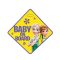 Disney Baby on Board tábla - Jégvarázs