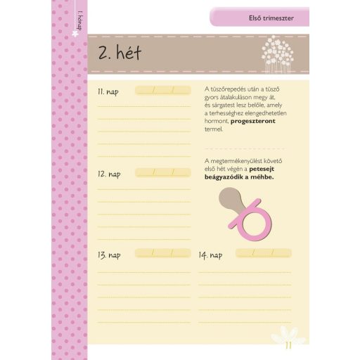 Napraforgó Napló a babavárás 9 hónapjáról