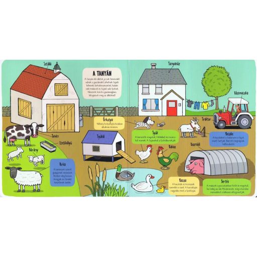 Napraforgó Kis felfedezők - Minden, ami állat