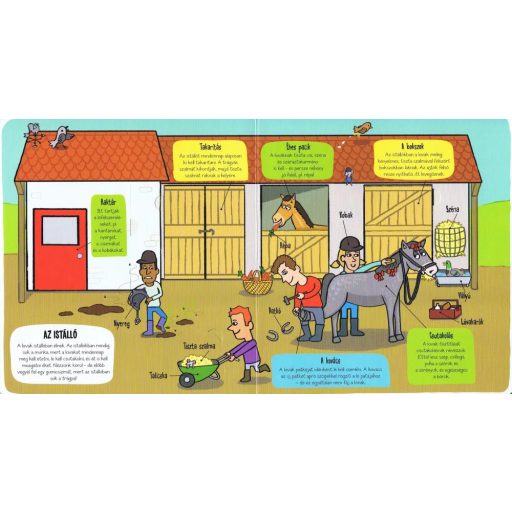 Napraforgó Kis felfedezők - A tanya