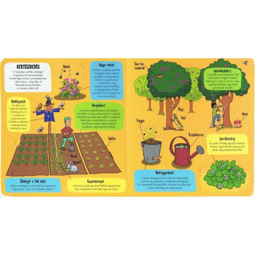 Napraforgó Kis felfedezők - A tanya