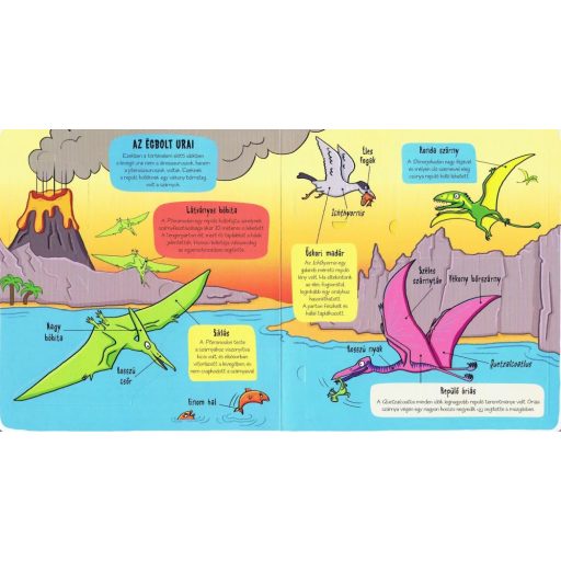 Napraforgó Kis felfedezők - Minden, ami dinó