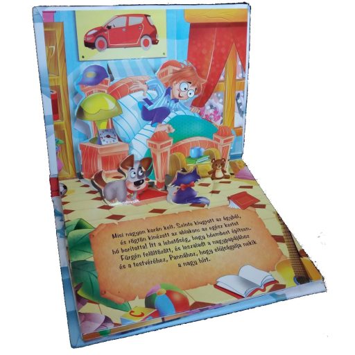 Napraforgó Eleven mesék - A boldog hóember