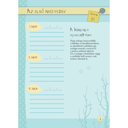 Napraforgó Napló a babám első évéről (lányos)