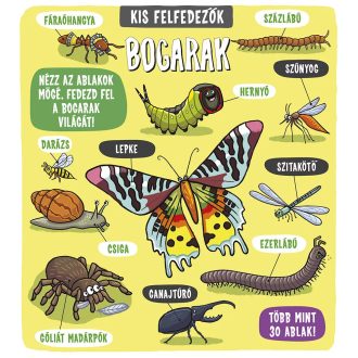 Napraforgó Kis felfedezők - Bogarak