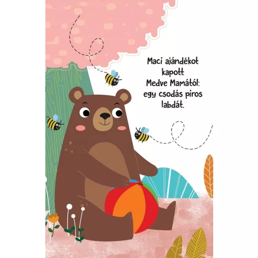 Napraforgó Hangos cimborák - Maci és barátai