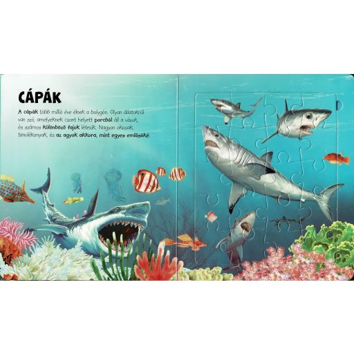 Napraforgó Szuper puzzle - Tengeri állatok