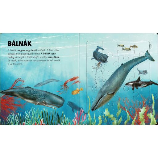 Napraforgó Szuper puzzle - Tengeri állatok