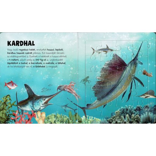 Napraforgó Szuper puzzle - Tengeri állatok