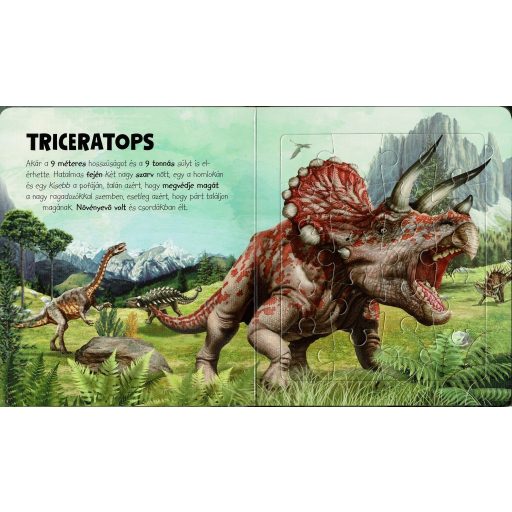 Napraforgó Szuper puzzle - Dinoszauruszok