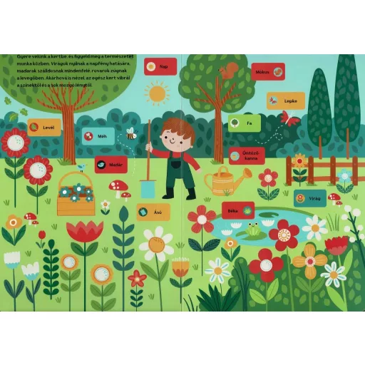 Napraforgó Böngéssz hangokat - A gyerekek világa