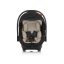 Chipolino Duo Smart autóshordozó 40-87cm - Blackberry