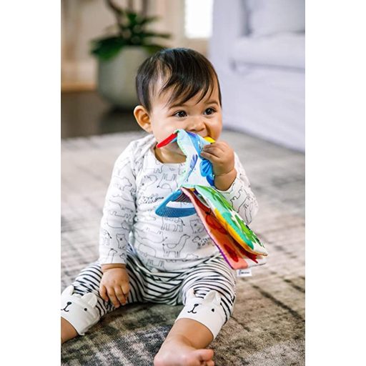 Baby Einstein Rágóka/könyv Curious Explorers ™, 0 hó+