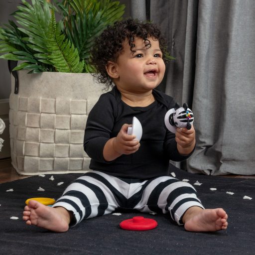 Baby Einstein Rágóka építőjáték, zebra Stack & Wobble Zen™, 3 hó+