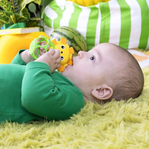 Oball Játék, rágóka, Soother Pals™, Easy-Grasp, 2 db, 3 hó+