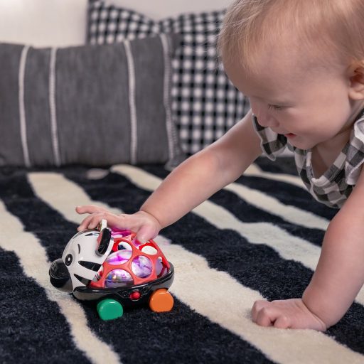 Oball Autó és csörgő, 2in1 Curious Car, zebra, Zen™, 3 hó+