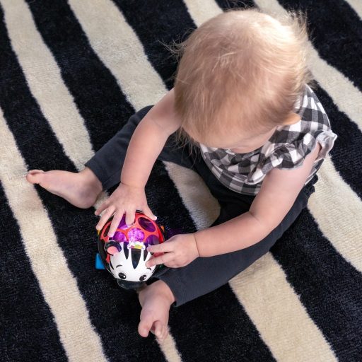 Oball Autó és csörgő, 2in1 Curious Car, zebra, Zen™, 3 hó+