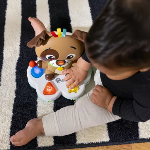 Baby Einstein Zenélő fejlesztő játék Drum & Learn Dean™ - 6hó+