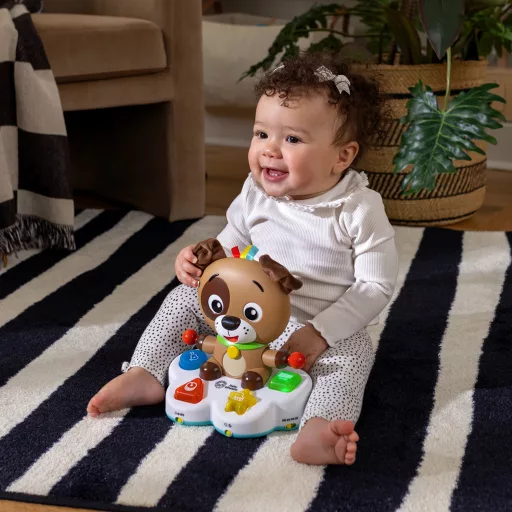 Baby Einstein Zenélő fejlesztő játék Drum & Learn Dean™ - 6hó+