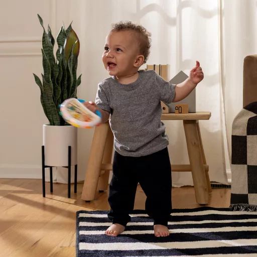 Baby Einstein Játék zenélő tamburin Tap & Shake™ Magic Touch™ HAPE - 6hó+