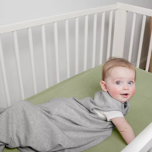 INGENUITY Alvózsák pamut TOG 2,5 SwaddleMe™ Flock 3m+