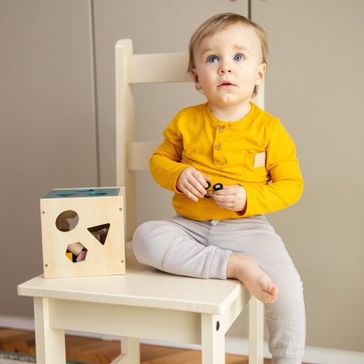 Petite&Mars Fa formaválogató játék Gravity Wood of Mars 12hó+ - Cosmic Blue