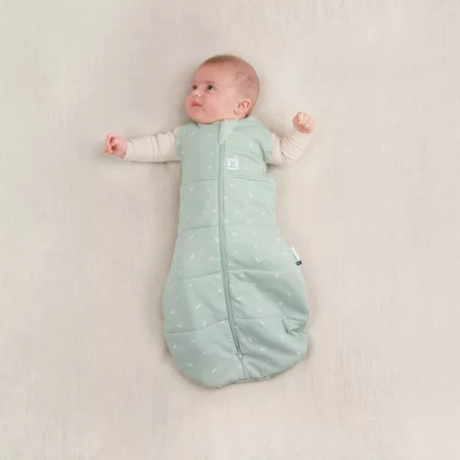 ERGOPOUCH Pólya és hálózsák 2 az 1-ben 3-6 hónap 6-8 kg 2,5 tog - Cocoon Sage