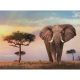 Puzzle, elefánt, afrikai napkelte, 500 db-os, 34x25 cm dob.