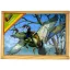 Fa puzzle, madaras, 4 kép, 12 db, 20*14 cm fa dob.