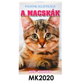 Kártya, Macskák, kvartett, 6,5x10 cm dob.