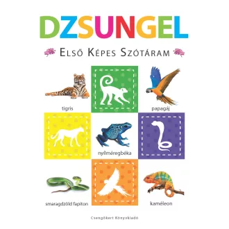 Dzsungel - Elsõ képes szótáram - Szivacskönyv