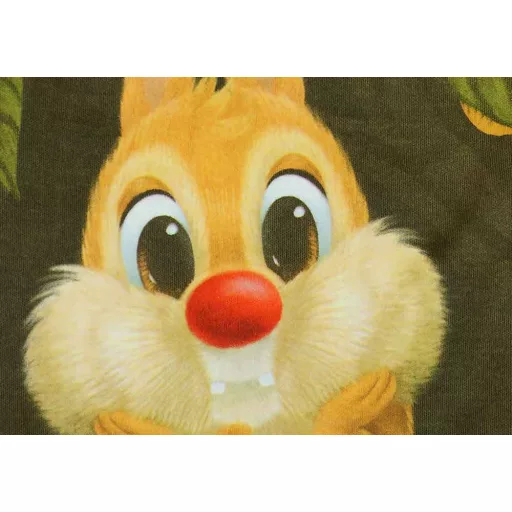 Ujjatlan tipegő hálózsák Chip és Dale mintával 1 TOG