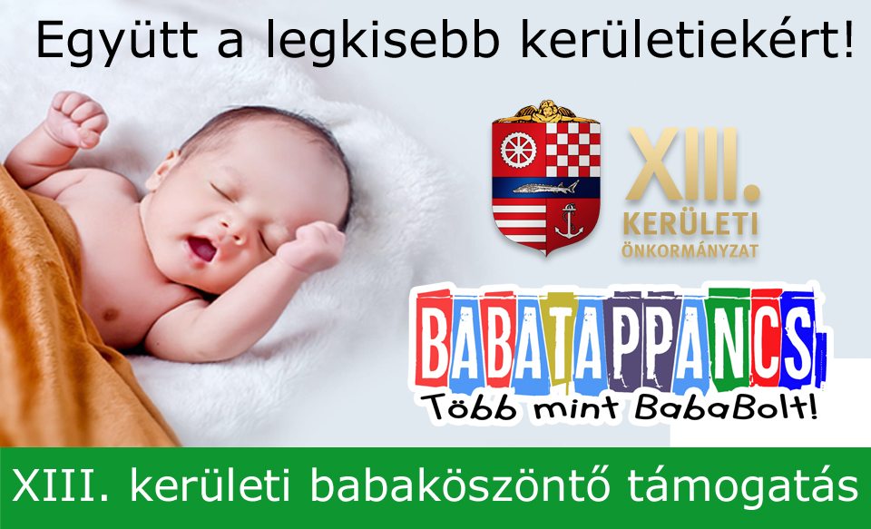 Együttműködésünk a XIII. kerületi Önkormányzattal