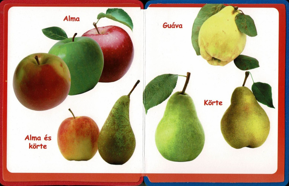 Napraforgó Szivacskönyv - Gyümölcsök